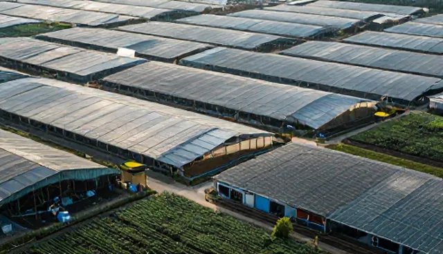 技术服务选型关注点:适用条件对比与实际取舍